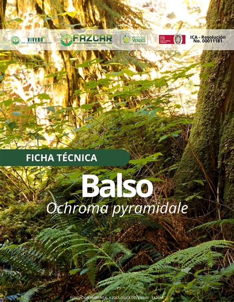 Balso komandų piktograma