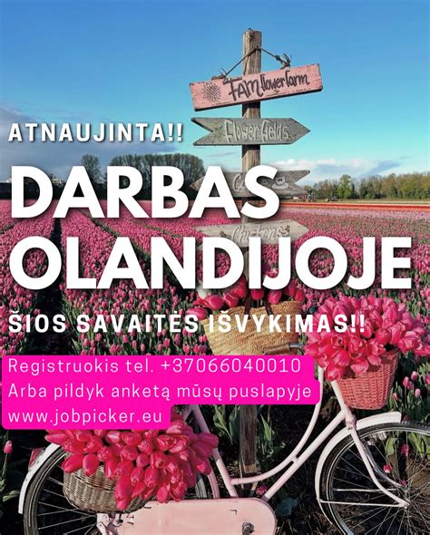 Darbo pasiūlymai vairuotojams Olandijoje