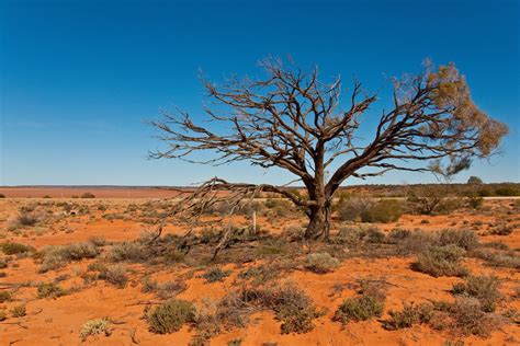Australijos dykuma su sunkvežimiu