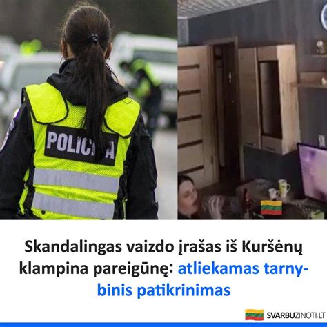 Schema, kaip atliekamas tarnybinis patikrinimas