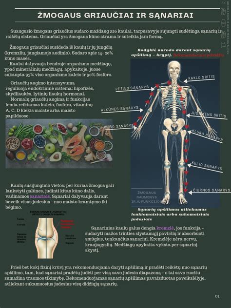 Skirtingi krautuvų priedai ir jų funkcijos