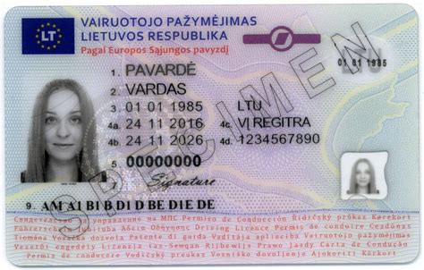 Vokietijos vairuotojo pažymėjimo pavyzdys