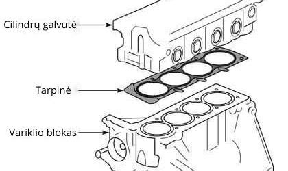 Toyota variklio galvutės tarpinės schema