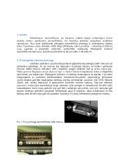 Scheminis automobilio elektroninės sistemos pavaizdavimas