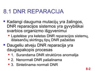 DNR ženklinimo procesas automobilių detalėms