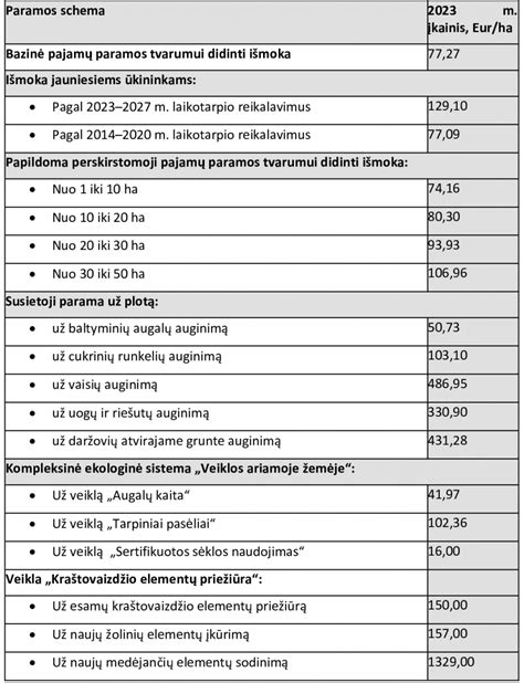 Scheminis vaizdas apie draudimo išmokų mokėjimo terminus
