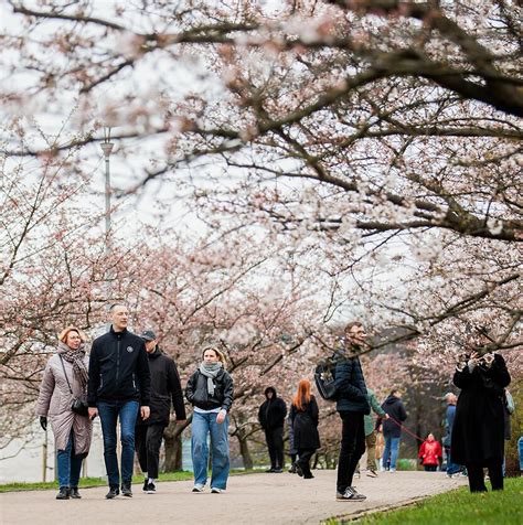 Nuotrauka, vaizduojanti socialiai pažeidžiamas grupes