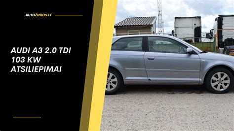 Audi A3 2.0 TDI variklio schema