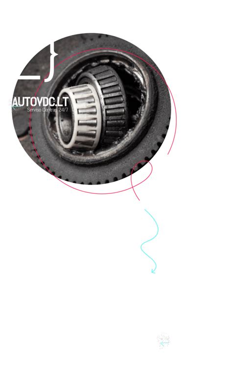 Automobilio pakabos schema su rato šarnyru