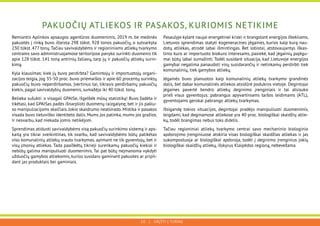 Gamybos procesas ir atliekų tvarkymas