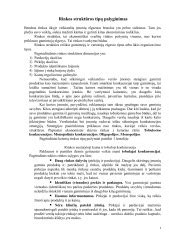 Angliavandenilių tipų palyginimas