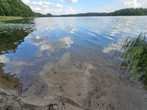 Žaliasis Asvejos ežero vanduo vasarą