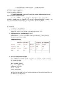 Pasiruošimas teorijos egzaminui su KETBILIETAI.LT