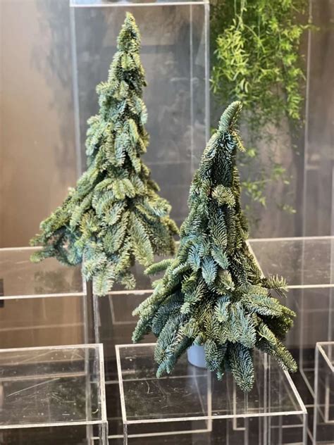 Kalėdinės dekoracijos iš nerūdijančio plieno