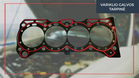 Variklio galvos tarpinė