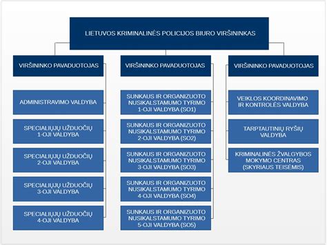 Automatinio tarpų reguliatoriaus vidinė struktūra