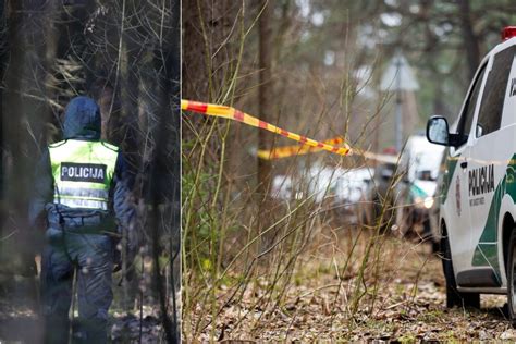Miško kelias ir automobilis