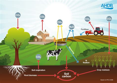schema of greenhouse gas emissions from agriculture
