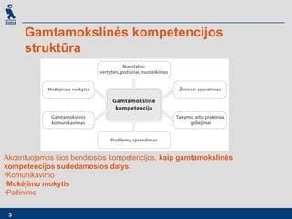 Schematinis pavaizdavimas, kaip skirtingos kompetencijos sudaro bendrą kvalifikaciją