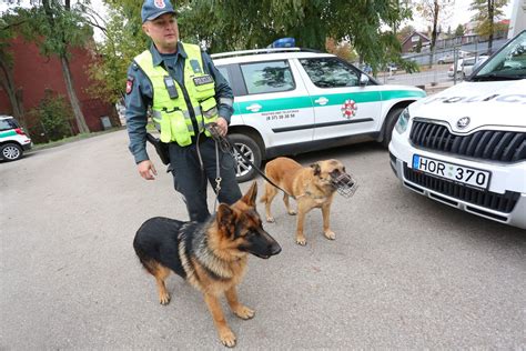 Policijos pareigūnai su tarnybiniais šunimis