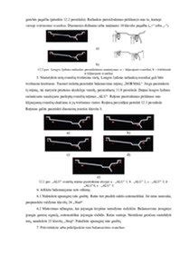 Automobilio ratų sistemos scheminis pavaizdavimas su paaiškintais parametrais