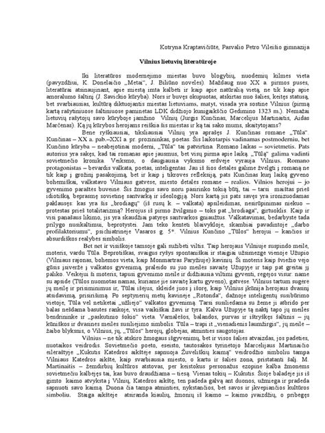 Schematinis RDE testo pavaizdavimas