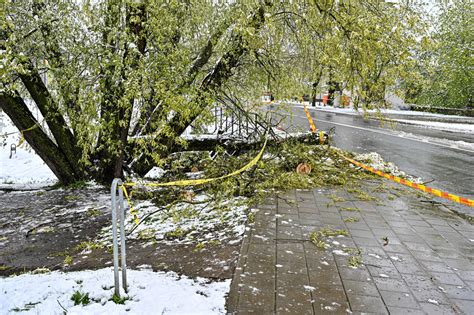 Nuostolių įrodymo schema