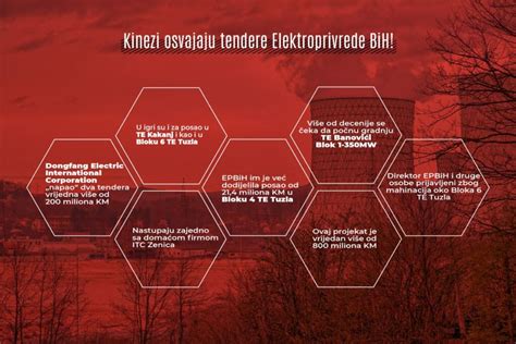 Infografika su pakrovėjų-starterių pasirinkimo kriterijais