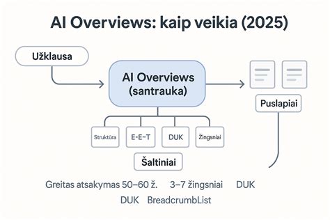 Veikimo schema, kaip veikia pixel žyma