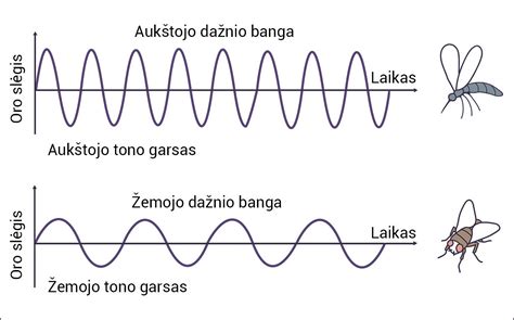 Garso signalų tipai