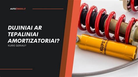 Palyginimas: Alyviniai, dujiniai ir reguliuojami amortizatoriai