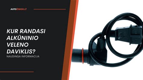 Diagrama, rodanti alkūninio veleno įtempių koncentracijos taškus