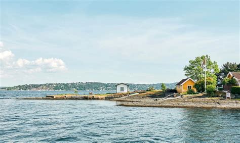 Oslas su automobiliu