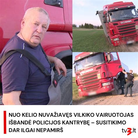Vilkiko vairuotojas kelyje