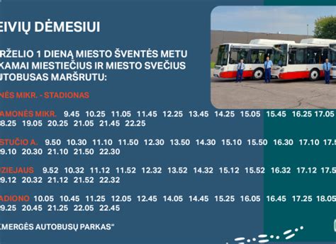 Grafikas, iliustruojantis skirtingus autobusų vairavimo žaidimų tipus