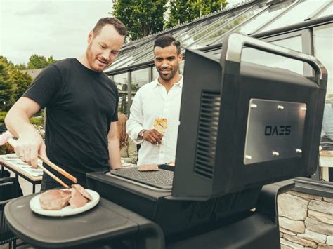 Elektrinės kepsninės mechanizmas