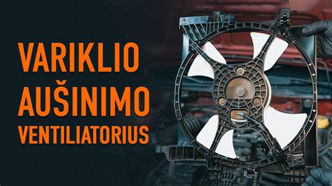 Schematinis aušinimo ventiliatoriaus veikimo pavaizdavimas