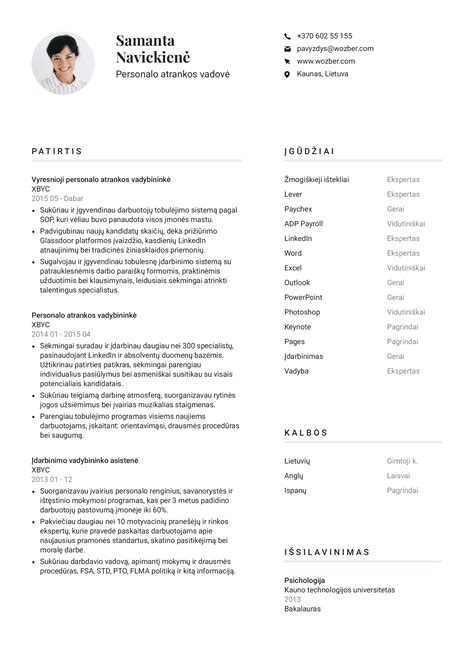 CV pavyzdys vairuotojui