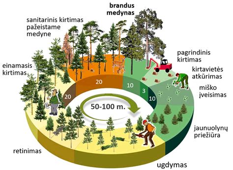 Benzino naudojimo sritys