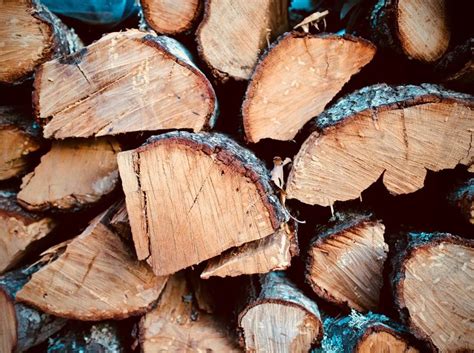 Apvalios medienos rūšys