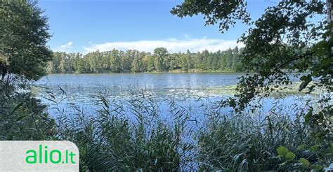 Nelegali statyba prie ežero Trakų rajone