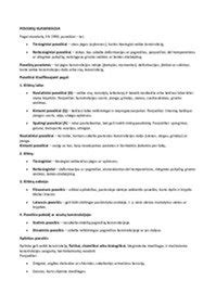 Schematinis projektavimo principų pavaizdavimas