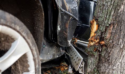 Automobilio avarija su medžiu