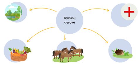 Schema apie laukinių gyvūnų migracijos laikus ir pavojus keliuose