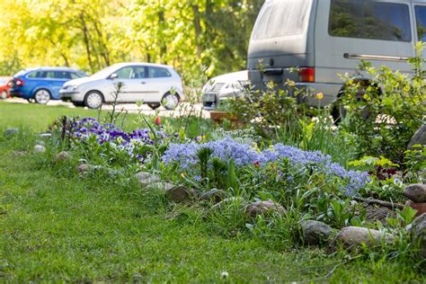 Pavyzdžiai, kaip galima apželdinti daugiabučių kiemus