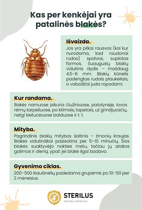 Vizualizacija su dažniausiais stabdžių gedimų požymiais