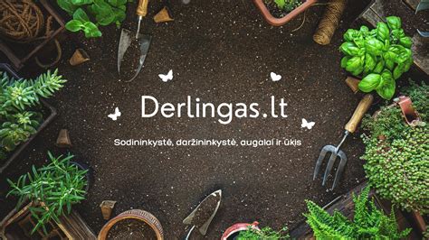 Statistika apie svetainės lankomumą