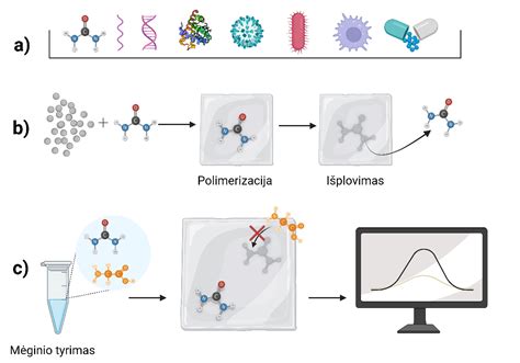 Silano modifikuotų polimerų struktūra