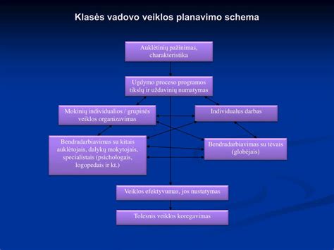 Vadovo atsakomybės schema