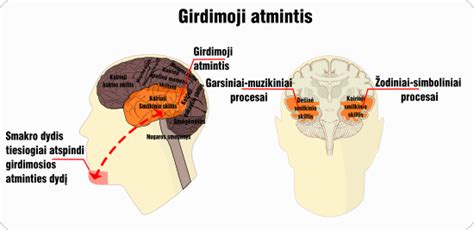 Schema, kaip atmintis jungia praeitį ir dabartį